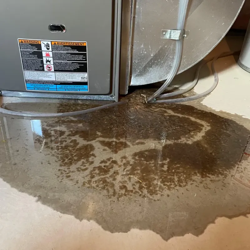 Appliance Leak Cleanup in Tift County, GA